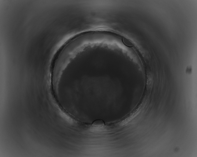 X0000101231414200807181552