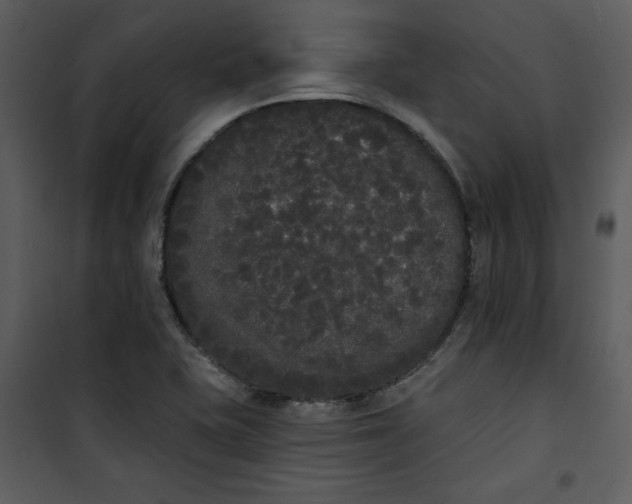 X0000101231415200807181552