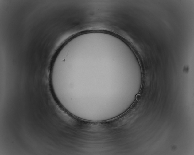 X0000101231416200807181552