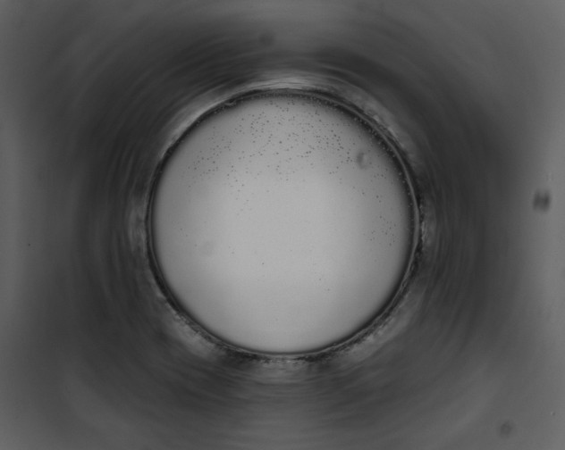 X0000101231417200807181552