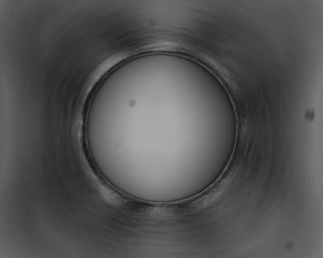 X0000101231418200807181552