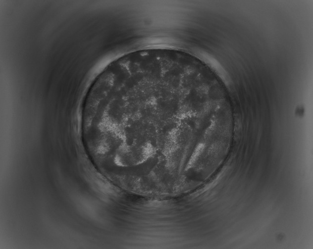 X0000101231419200807181552