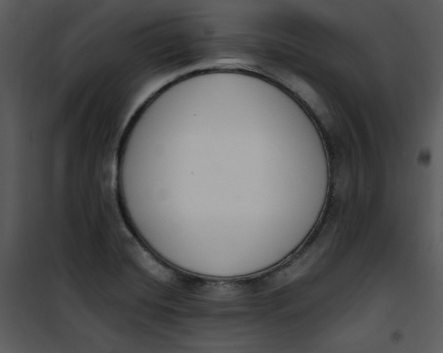 X0000101231420200807181552