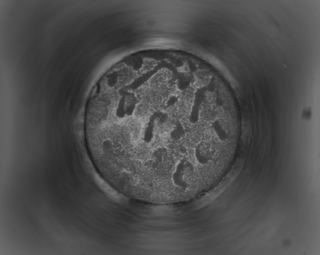 X0000101231421200807181552