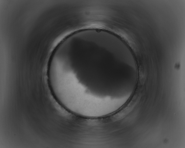 X0000101231422200807181552