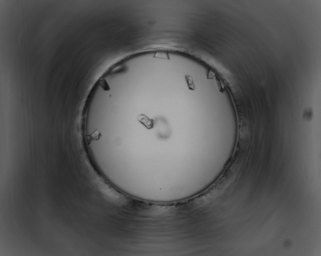 X0000101231423200807181552