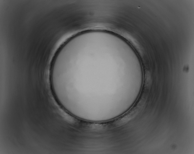 X0000101231424200807181552