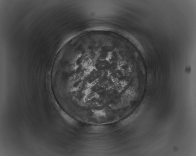 X0000101231425200807181552