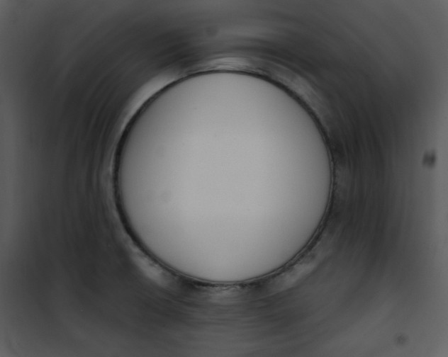 X0000101231426200807181552