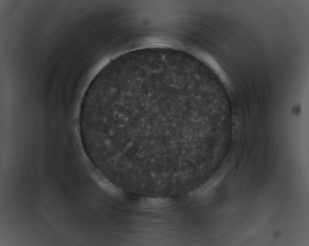 X0000101231427200807181553