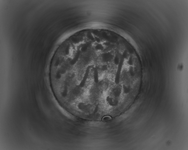 X0000101231429200807181553