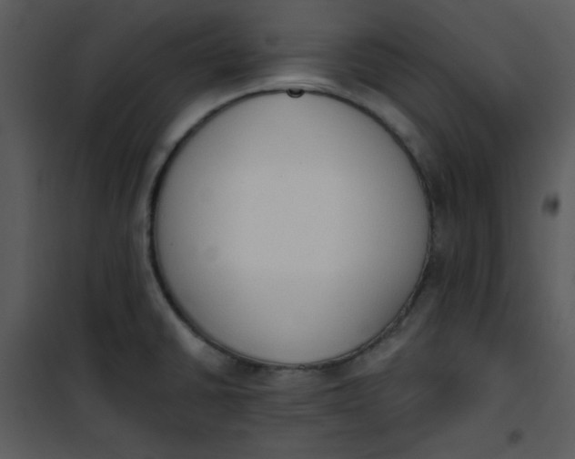 X0000101231430200807181553