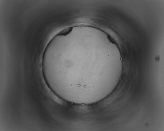 X0000101231431200807181553