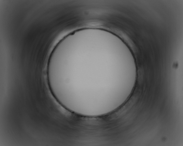 X0000101231432200807181553