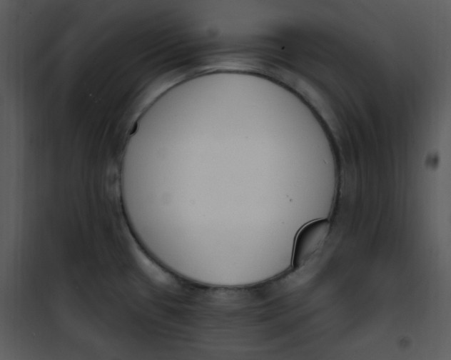 X0000101231433200807181553