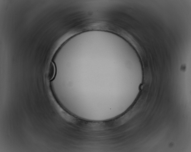 X0000101231434200807181553