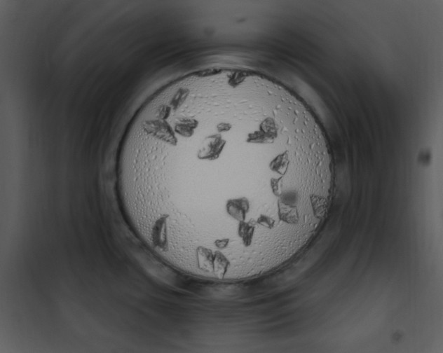 X0000101231435200807181553