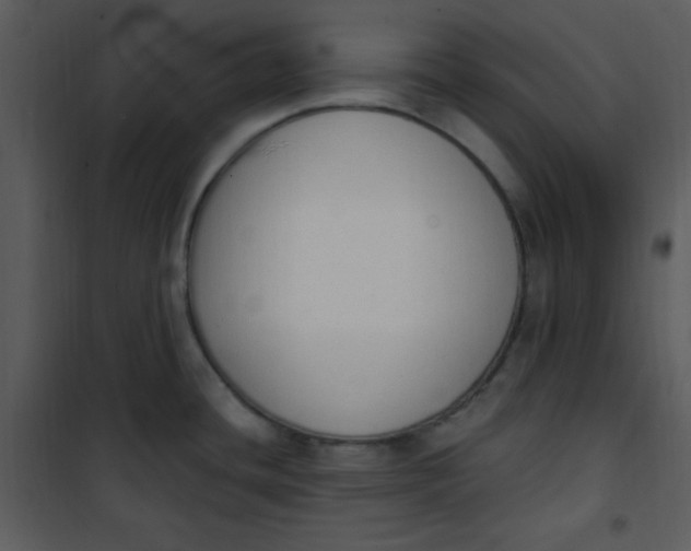 X0000101231436200807181553