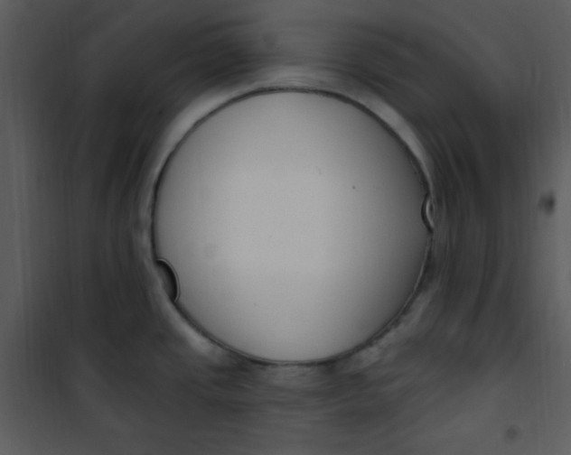 X0000101231437200807181553