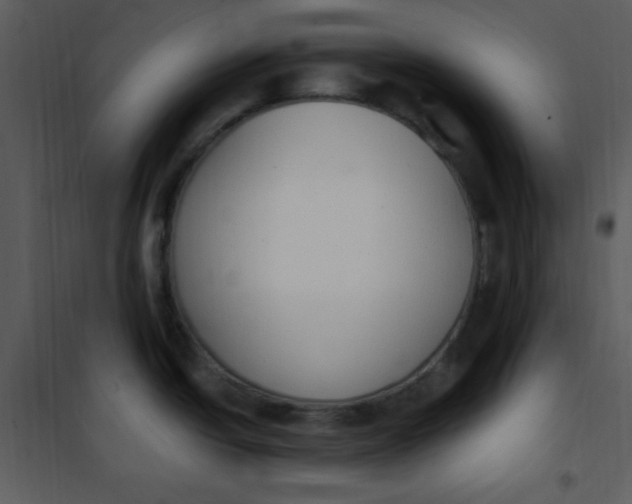 X0000101231438200807181553