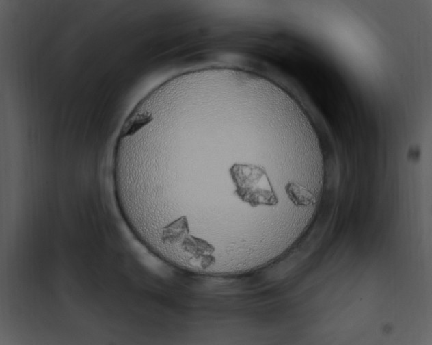 X0000101231439200807181553