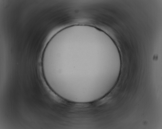 X0000101231440200807181553