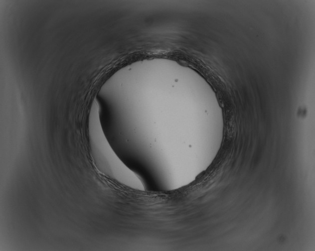 X0000101231441200807181552