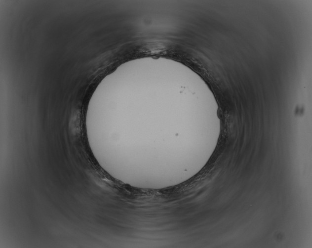 X0000101231442200807181552