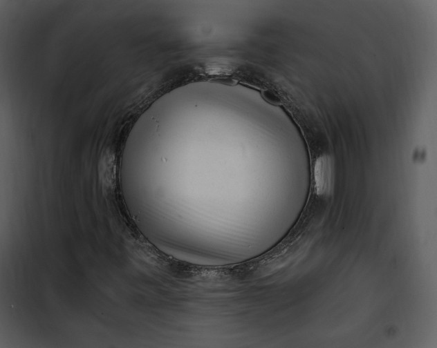 X0000101231443200807181552