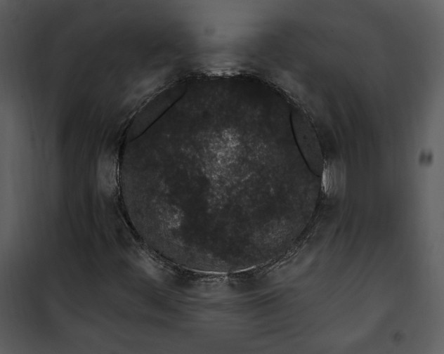 X0000101231444200807181552