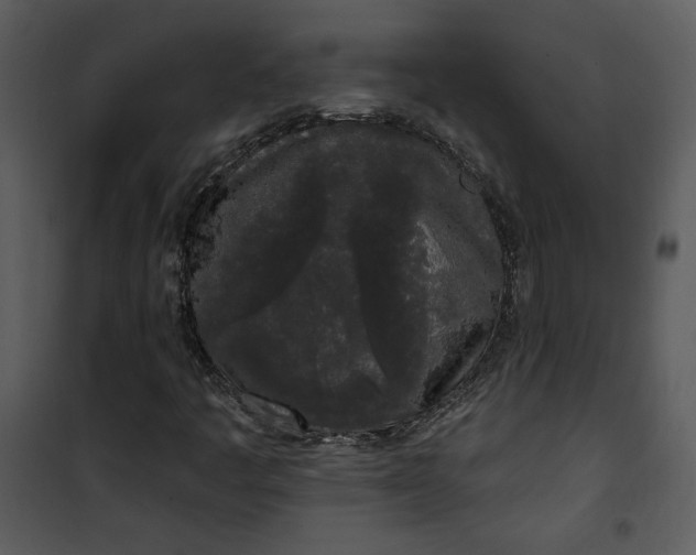 X0000101231445200807181552