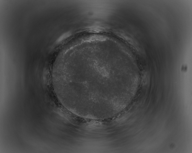 X0000101231446200807181552