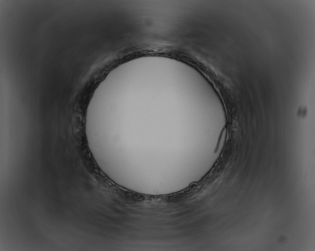 X0000101231447200807181552