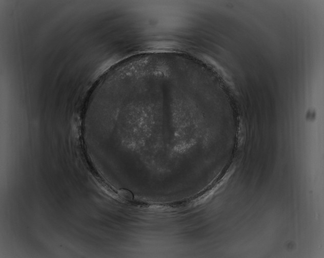 X0000101231449200807181552