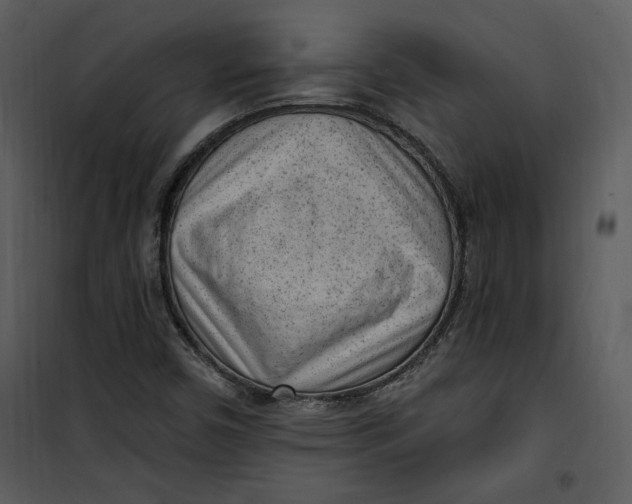 X0000101231450200807181552