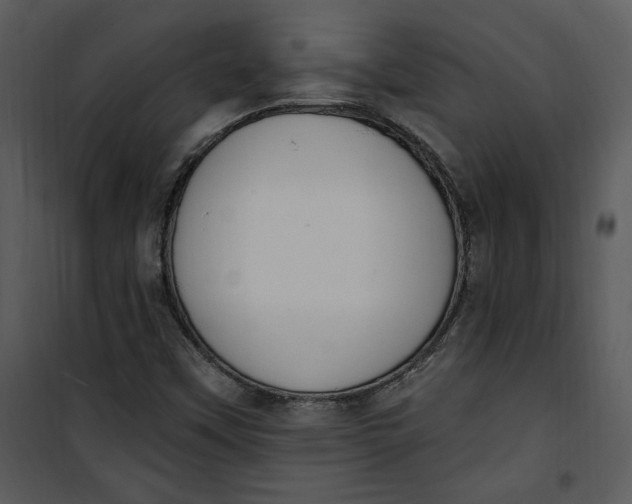 X0000101231451200807181552