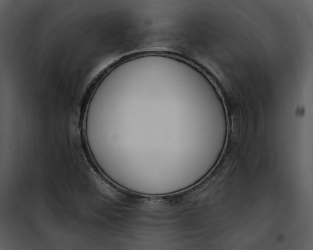 X0000101231452200807181552