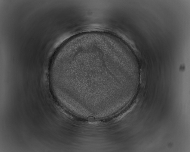 X0000101231453200807181552