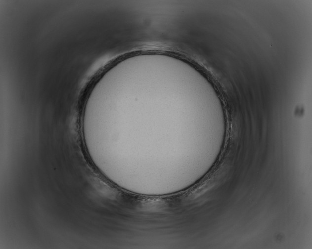 X0000101231454200807181552