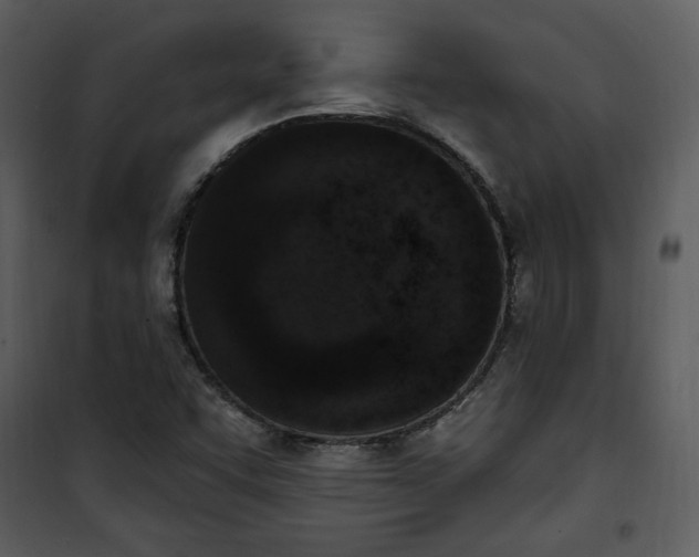 X0000101231455200807181552