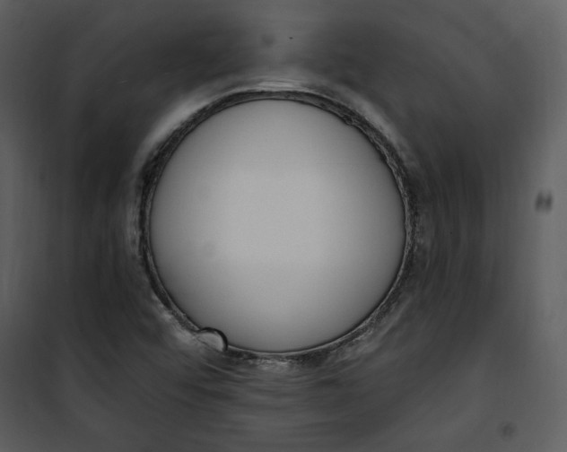 X0000101231456200807181552