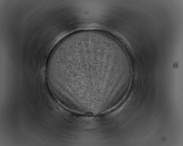 X0000101231457200807181552