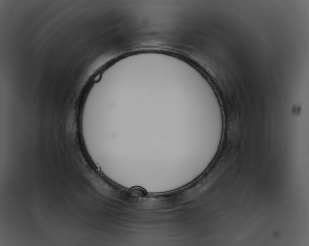 X0000101231458200807181552