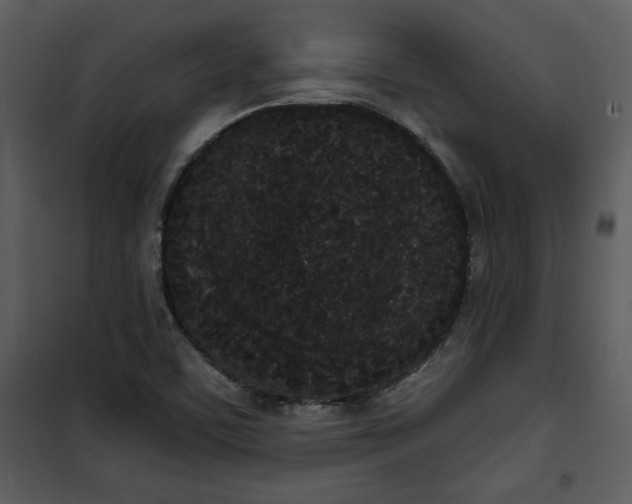 X0000101231459200807181552