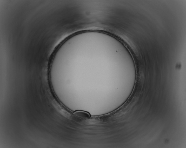 X0000101231460200807181552