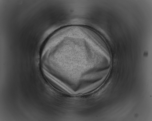 X0000101231461200807181552