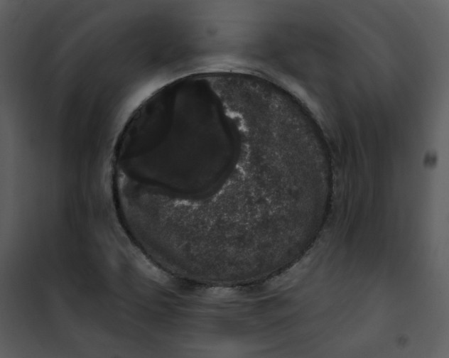 X0000101231463200807181552