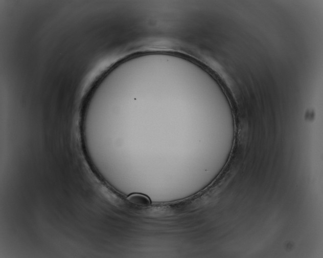 X0000101231464200807181552