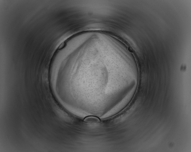 X0000101231465200807181552