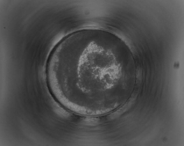 X0000101231466200807181552